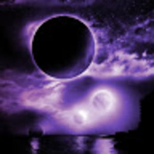 Meet your Posher, Audrey